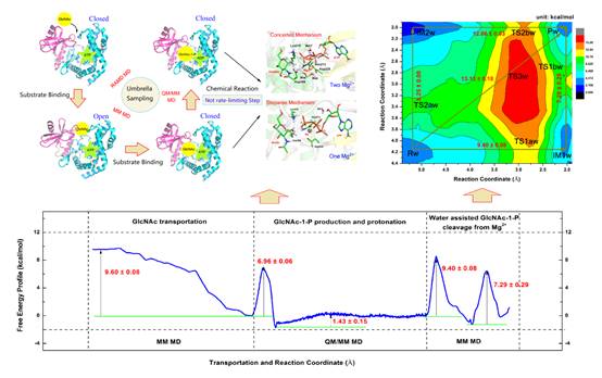 说明: G:\adp\submit\ACS catalysis\revised\figures\TOC.bmp